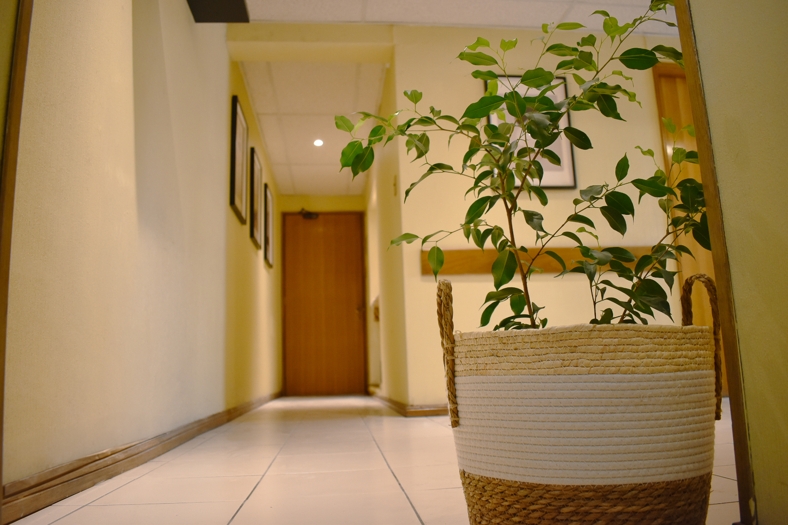 Otra vista de una sala de terapia.